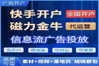 大型企业SEM外包实战案例